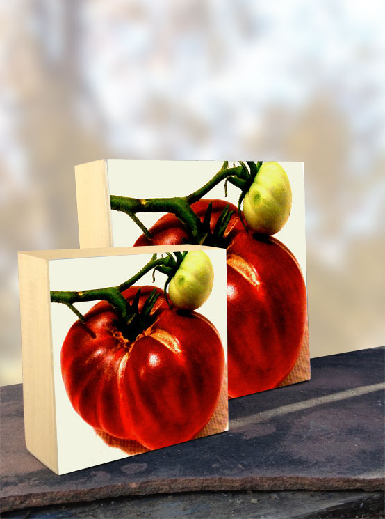 93423 Heirloom Tomato iPhone Organic Show Artist Dean Allan McCready