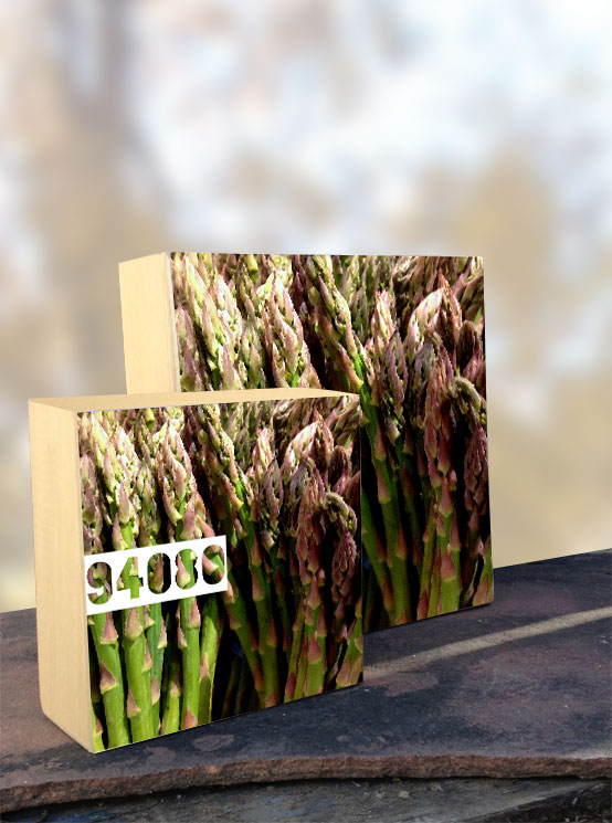 94080 Asparagus iPhone Organic Show Artist Dean Allan McCready